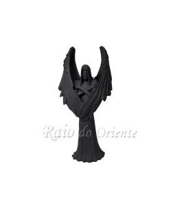 Anjo Negro (masc.)