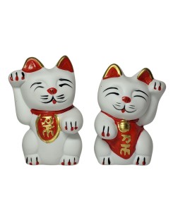 Gatinhos da Sorte (G)