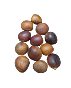 Fava - Olho de Boi - Unidade